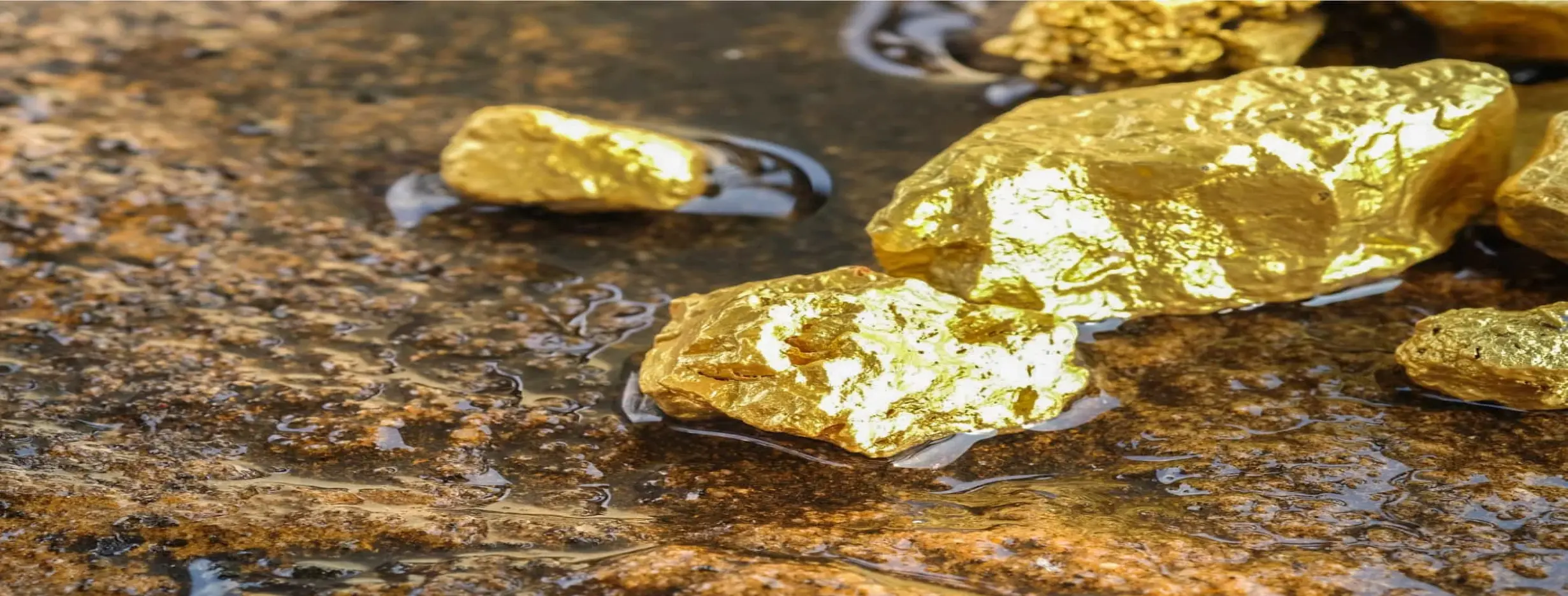Image for Gold Rush History
